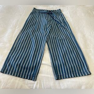 American Eagle | Women’s 10 | Blue White Striped Wide Leg Pants | Lightweight
